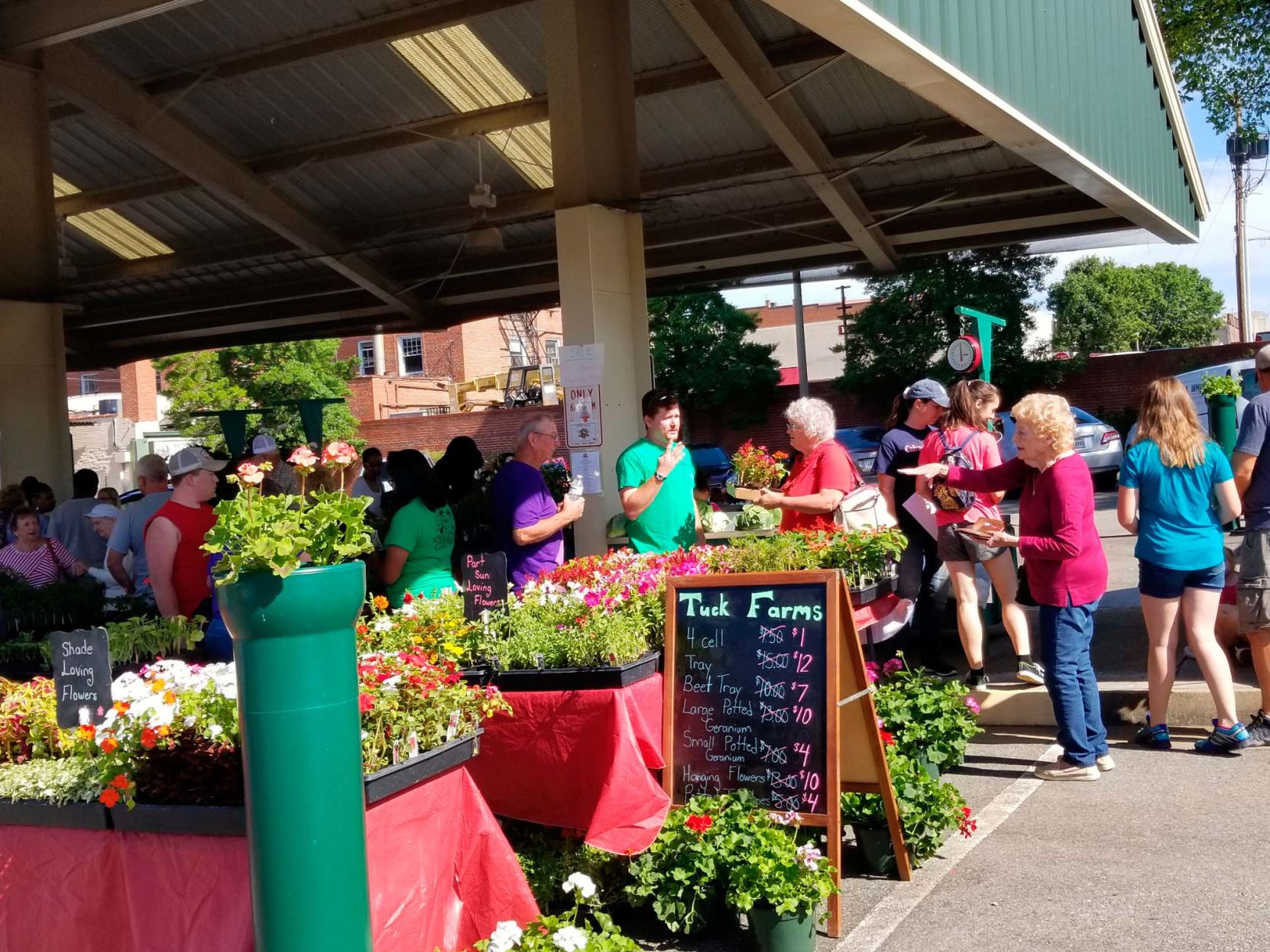 South Boston Farmers Market
